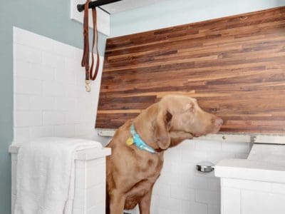 dog in the washroom